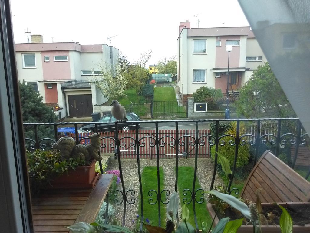 Ubytování Irena Benesov  Exterior foto